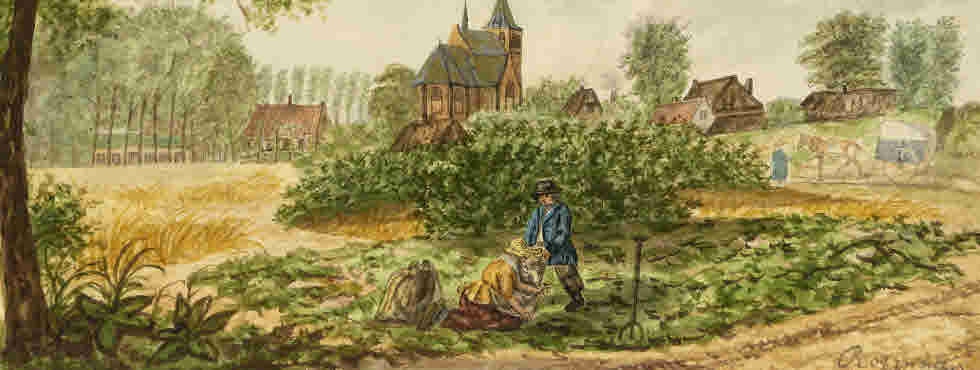 Rosmalen door P.Testas 1815